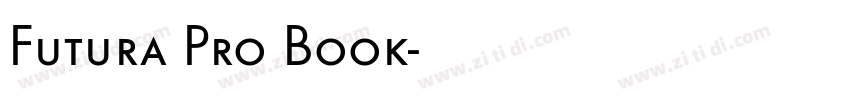 Futura Pro Book字体转换